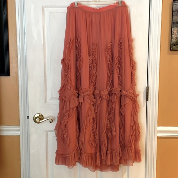 Beautiful Anthropologie skirt - Picture 3 of 7